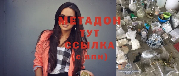 шишки Новодвинск