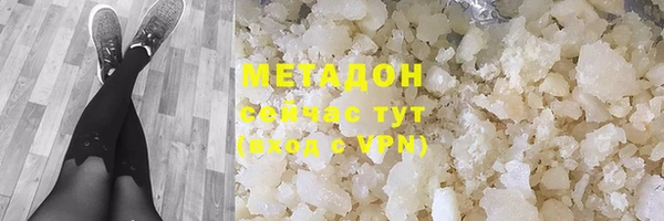 шишки Новодвинск