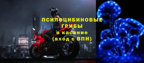 шишки Новодвинск