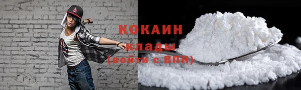 шишки Новодвинск