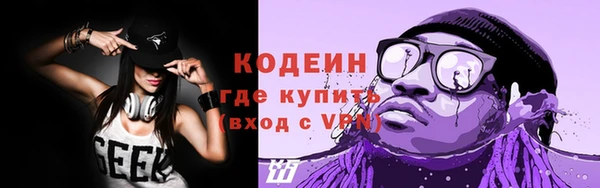 шишки Новодвинск