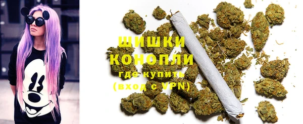 шишки Новодвинск