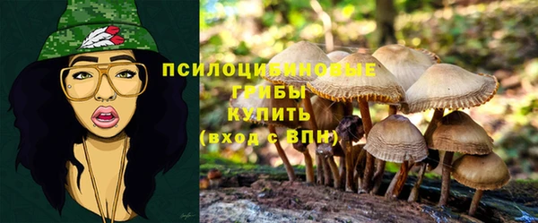 кокаин премиум Новозыбков