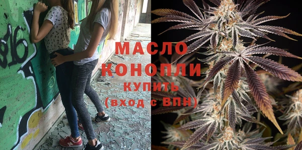 шишки Новодвинск