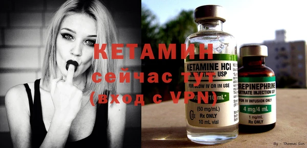 шишки Новодвинск