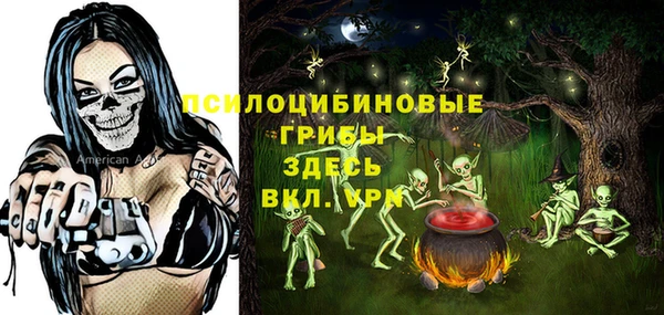 шишки Новодвинск