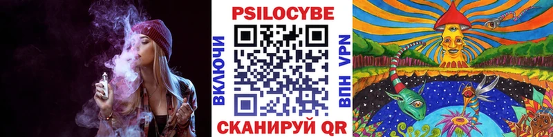 Псилоцибиновые грибы GOLDEN TEACHER  Купить закладки  Луза 