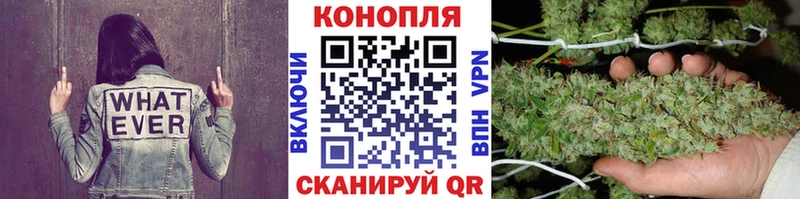 Купить где  Луза  Шишки марихуана SATIVA & INDICA 